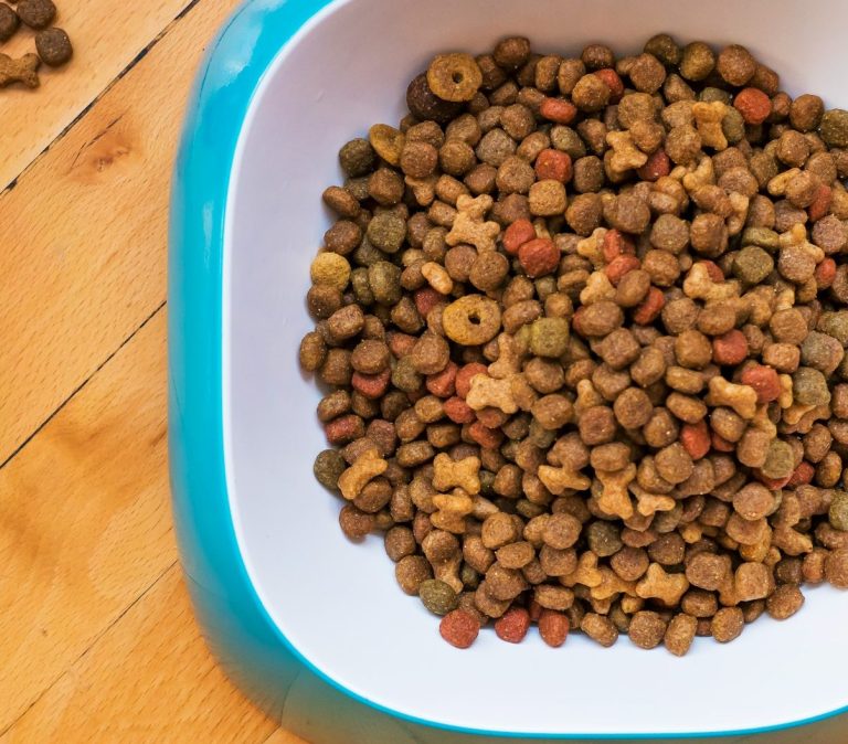 Nassfutter und Trockenfutter als Möglichkeiten einer bedarfsgerechten Hundeernährung